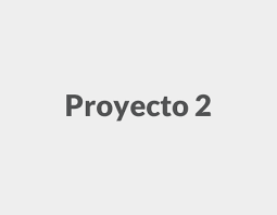 Proyecto 1